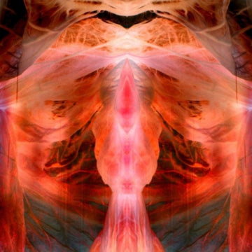 ANNIHILATING ANGEL; OR, THE SURFACE OF THE WORLD | VINYL RECORD (LP)