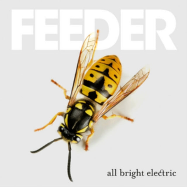 FEEDER | ALL BRIGHT ELECTRIC | VINYL RECORD (LP)