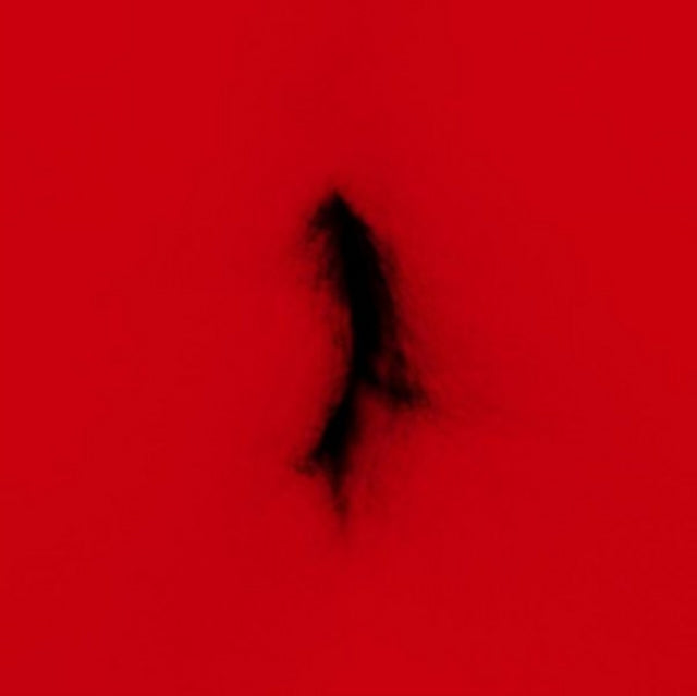 DINGWEI | UNTIED | VINYL RECORD (LP)