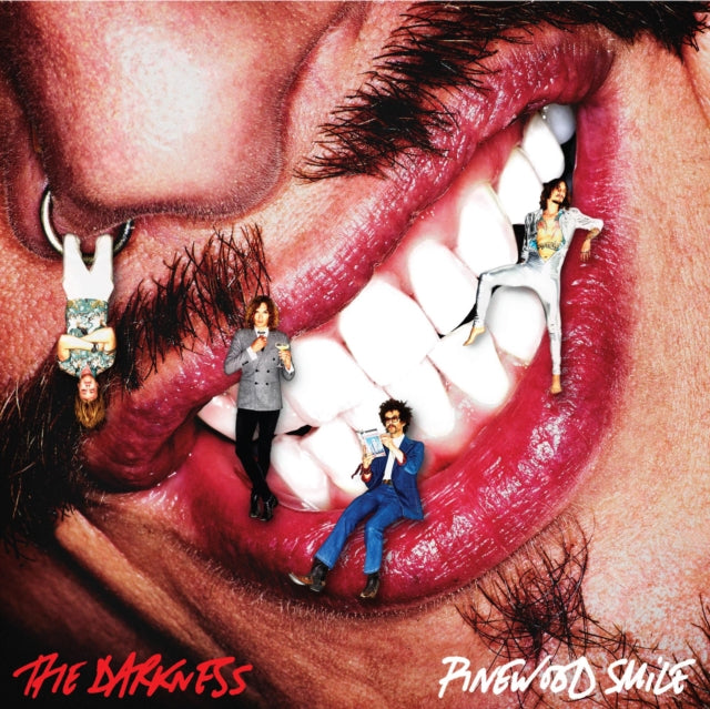 DARKNESS | PINEWOOD SMILE | VINYL RECORD (LP)