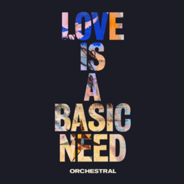 UNKNOWN | LOVE IS A BASIC NEED | CD