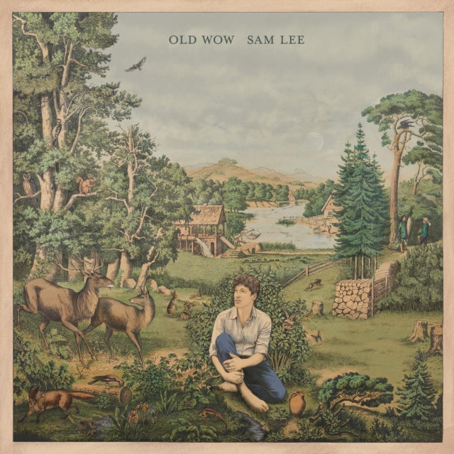 LEE, SAM | OLD WOW | VINYL RECORD (LP)