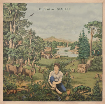 LEE, SAM | OLD WOW | VINYL RECORD (LP)