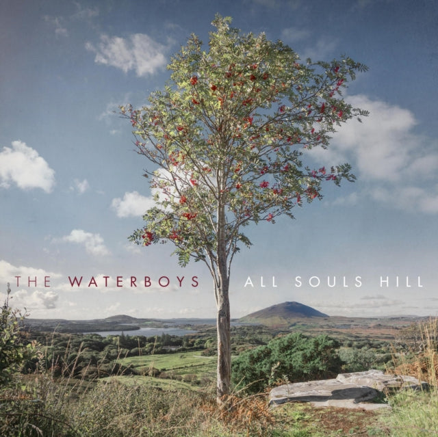WATERBOYS | ALL SOULS HILL | VINYL RECORD (LP)