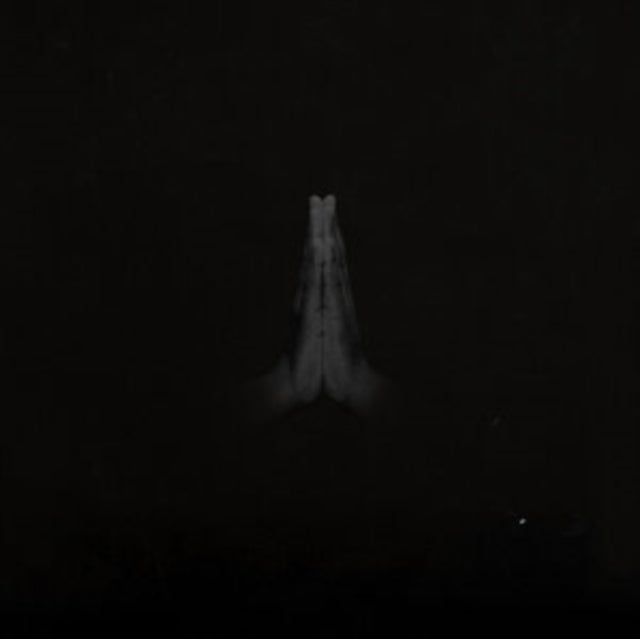 SAULT | UNTITLED (RISE) | VINYL RECORD (LP)