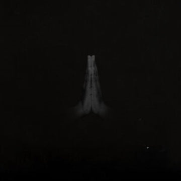 SAULT | UNTITLED (RISE) | VINYL RECORD (LP)