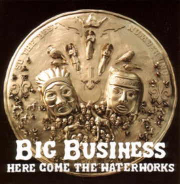 HERE COME THE WATERWORKS | VINYL RECORD (LP)