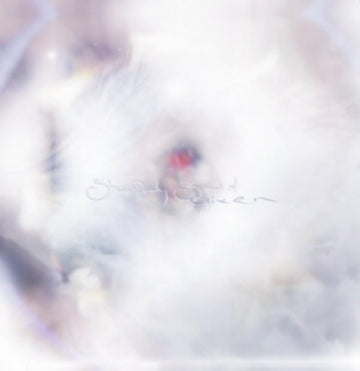 SHE ONLY SAID | VINYL RECORD (LP)