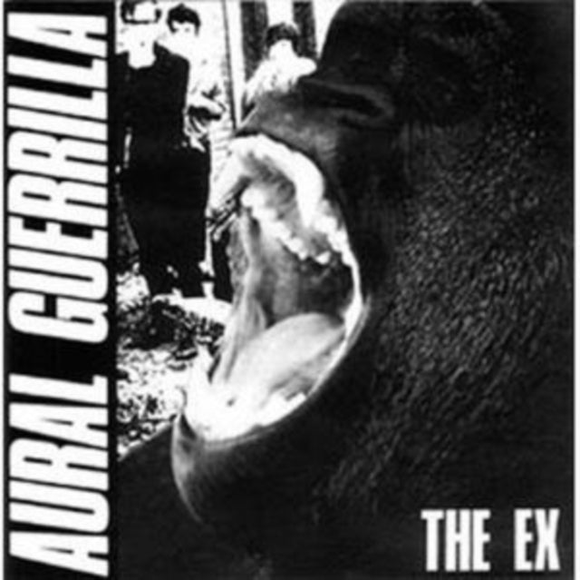 EX | AURAL GUERRILLA | VINYL RECORD (LP)