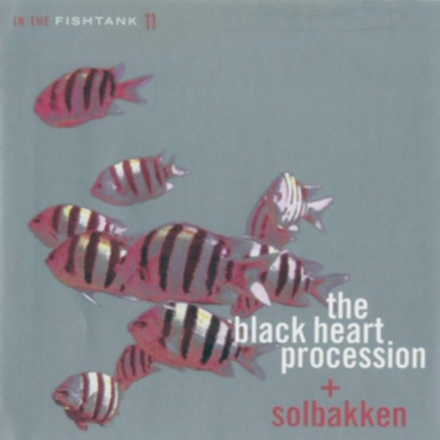 BLACK HEART PROCESSION; SOLBAKKEN | IN THE FISHTANK 11 | VINYL RECORD (LP)