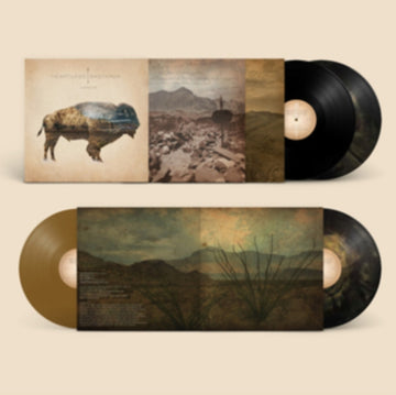 HEARTLESS BASTARDS | ARROW (10TH ANNIVERSARY) (BLACK & GOLD VINYL) | VINYL RECORD (LP)