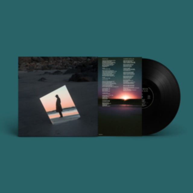 ORTON, BETH | WEATHER ALIVE | VINYL RECORD (LP)