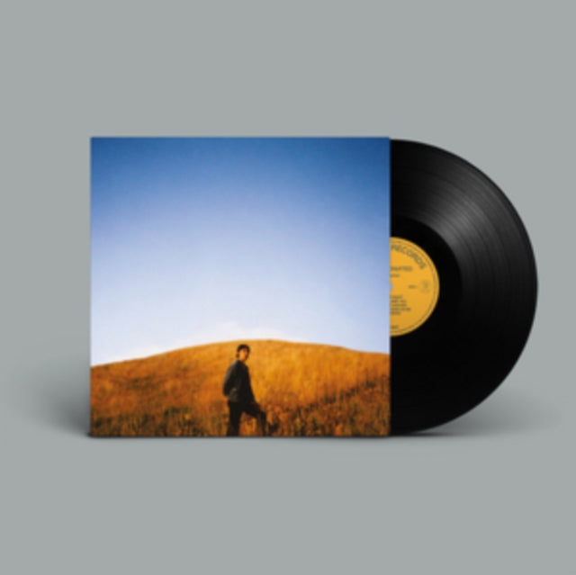 BURTON, SAM | DEAR DEPARTED | VINYL RECORD (LP)