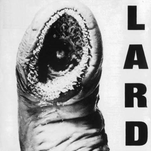 LARD | POWER OF LARD | VINYL RECORD (LP)
