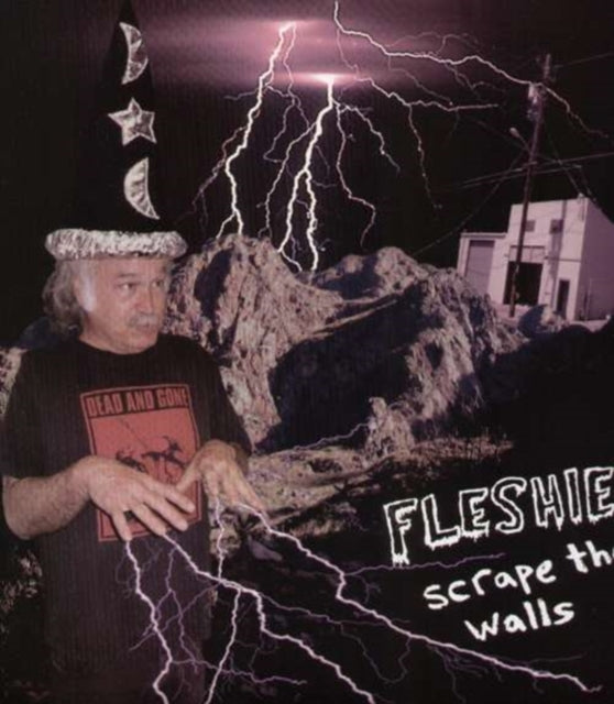 FLESHIES | SCRAPE THE WALLS | VINYL RECORD (LP)