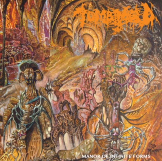 TOMB MOLD | MANOR OF INFINITE FORMS | VINYL RECORD (LP)