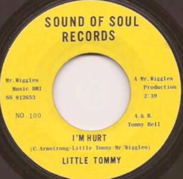 I'M HURT B/W LOV'H | 7IN VINYL