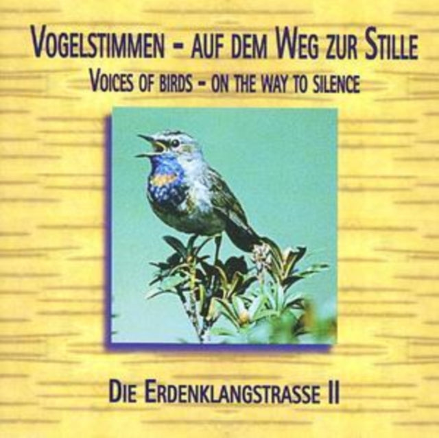 VARIOUS ARTISTS | MUSIK AUF DEM WEG ZUR STI | CD