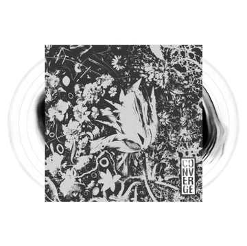 DUSK IN US (DELUXE/2LP/LIMITED/BLACK IN CLEAR VINYL) | VINYL RECORD (LP)