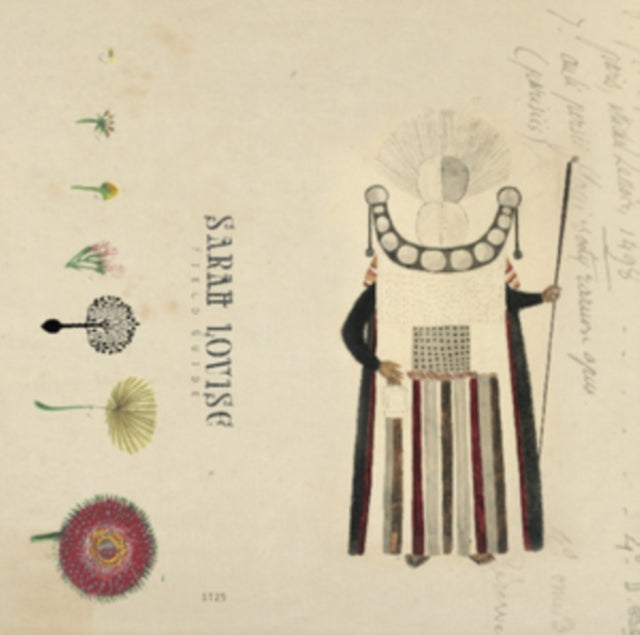 LOUISE, SARAH | FIELD GUIDE | VINYL RECORD (LP)