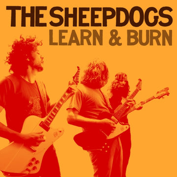 LEARN & BURN | VINYL RECORD (LP)