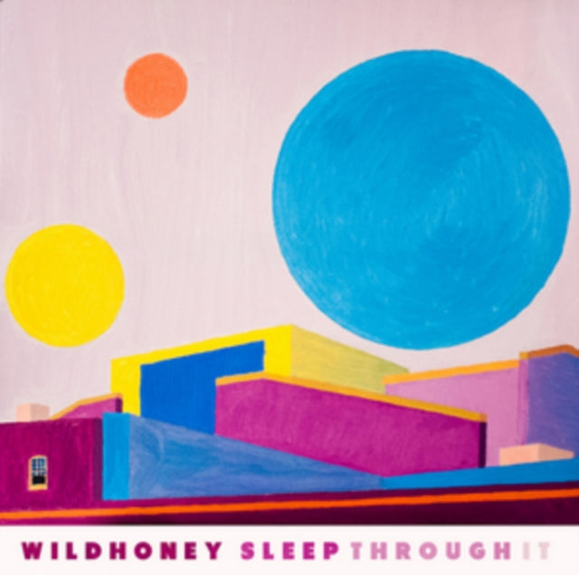 WILDHONEY | SLEEP THROUGH IT | VINYL RECORD (LP)