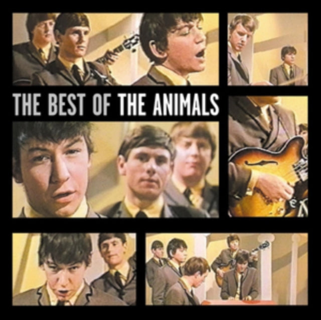 ANIMALS | BEST OF THE ANIMALS | CD