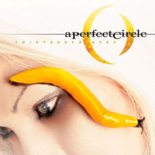 PERFECT CIRCLE | THIRTEENTH STEP | VINYL RECORD (LP)