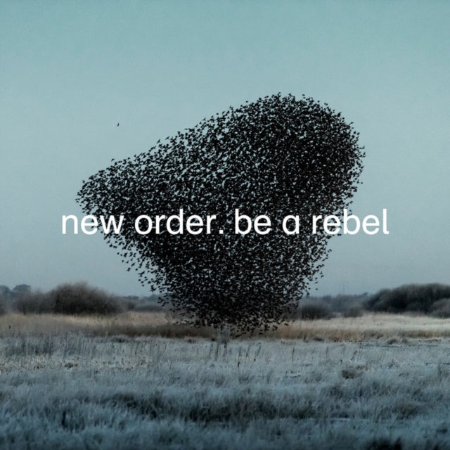 NEW ORDER | BE A REBEL | VINYL RECORD (LP)