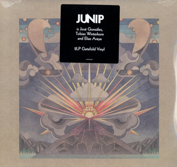 JUNIP | FIELDS | VINYL RECORD (LP)