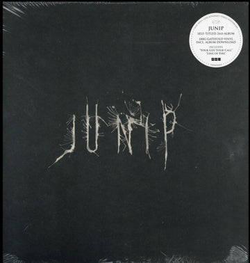JUNIP | JUNIP | VINYL RECORD (LP)