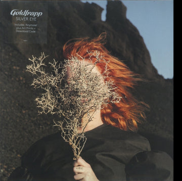 SILVER EYE | VINYL RECORD (LP)