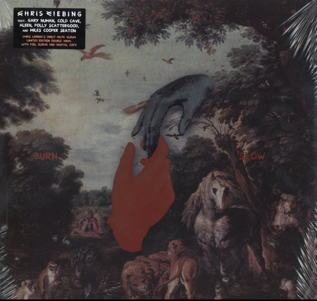 LIEBING, CHRIS | BURN SLOW | VINYL RECORD (LP)