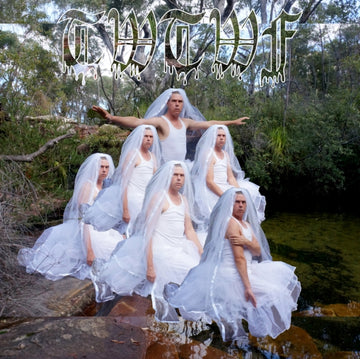 LIARS | TITLES WITH THE WORD FOUNTAIN (TFCF DELUXE EDITION) | VINYL RECORD (LP)