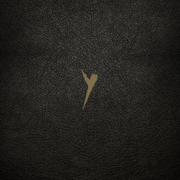 Y (DEFINITIVE EDITION) | VINYL RECORD (LP)