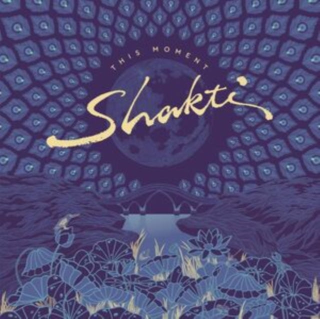 SHAKTI | THIS MOMENT (2LP) | VINYL RECORD (LP)