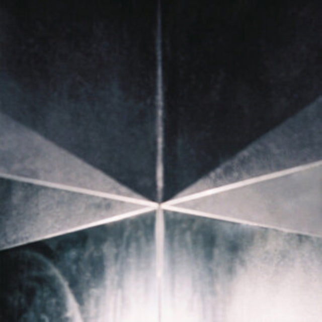 DESILUSAO OPTICA | IN TRUX WE PUX 02 | VINYL RECORD (LP)