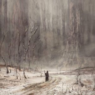 PRED DVERIMA NOCI | VINYL RECORD (LP)