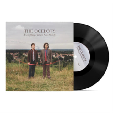 EVERYTHING, WHEN SAID SLOWLY | VINYL RECORD (LP)