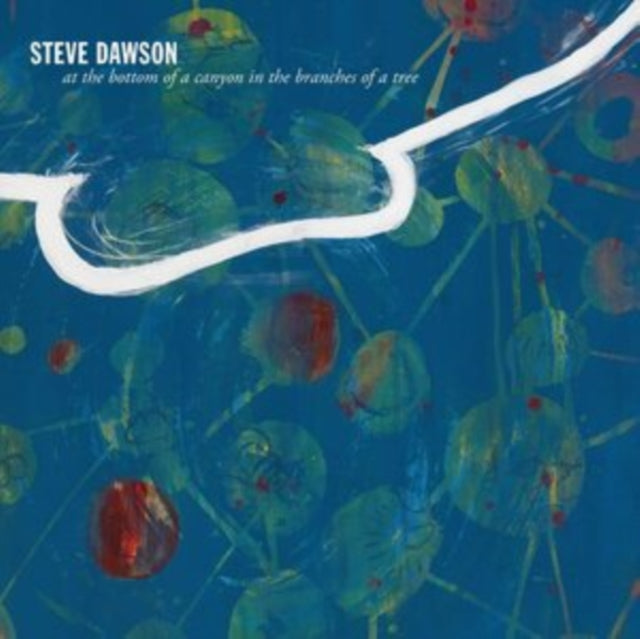 DAWSON, STEVE | AT THE BOTTOM OF A CANYON IN THE BRANCHES OF A TREE | VINYL RECORD (LP)
