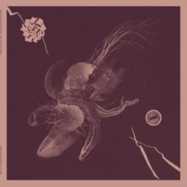 TURNER, AARON & JON MUELLER | NOW THAT YOU'VE FOUND IT | VINYL RECORD (LP)