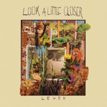 LOOK A LITTLE CLOSER | VINYL RECORD (LP)
