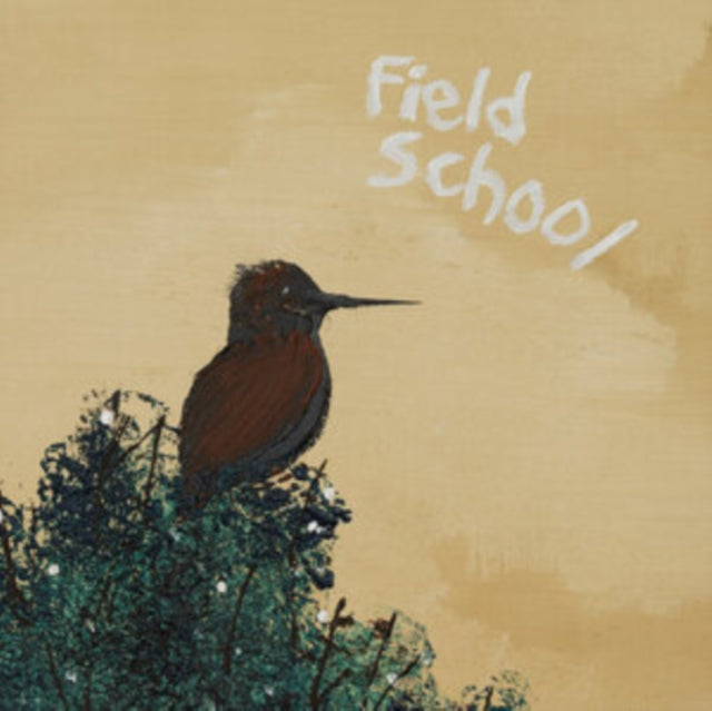 FIELD SCHOOL | WHEN SUMMER COMES | VINYL RECORD (LP)