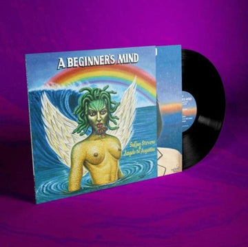 BEGINNER'S MIND | VINYL RECORD (LP)