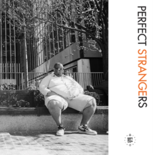 VARIOUS ARTISTS | PERFECT STRANGERS | 12IN VINYL