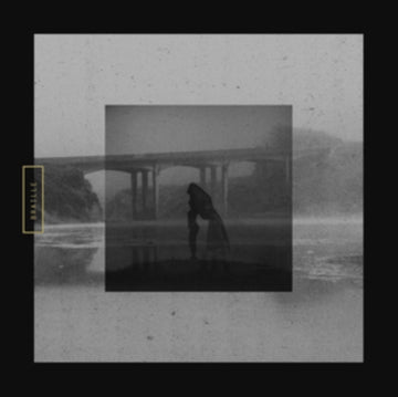 BRAILLE | MUTE SWAN | VINYL RECORD (LP)