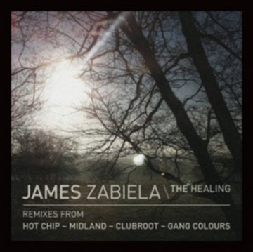 HEALING | 12IN VINYL