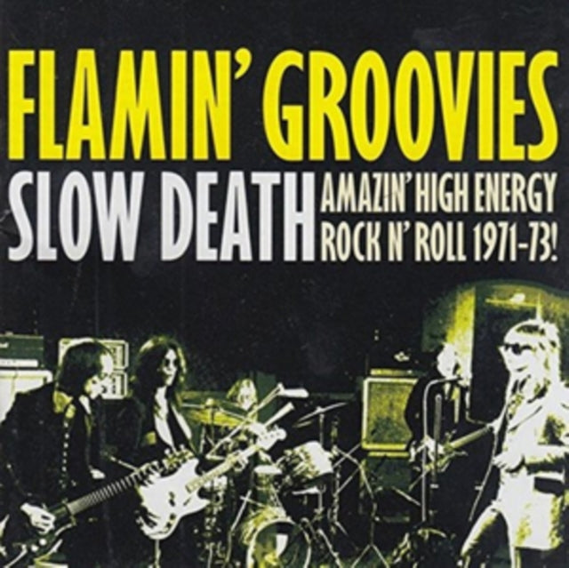 FLAMIN GROOVIES | SLOW DEATH: AMAZIN HIGH ENERGY ROCK N ROLL 1971 -73 | VINYL RECORD (LP)
