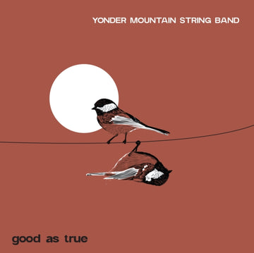 GOOD AS TRUE (S'MORES VINYL) | VINYL RECORD (LP)