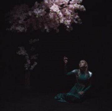 AS THE LIGHT LEFT | VINYL RECORD (LP)